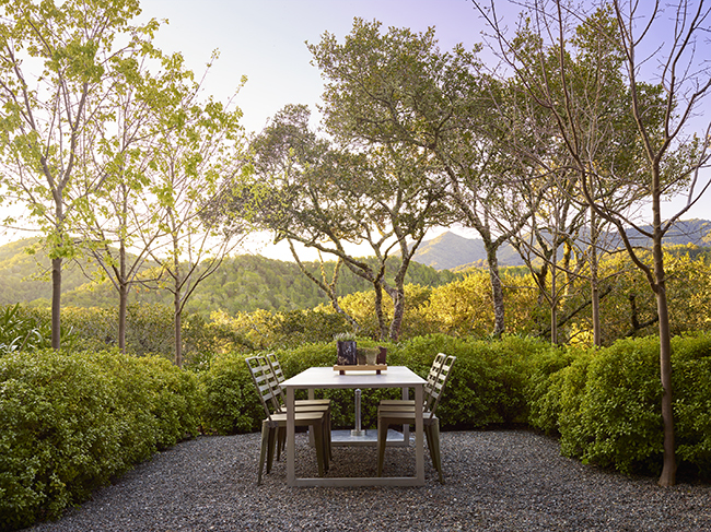 Garden Masters: A Garden to Heal the Land—Silvina Blasen's Private Oasis
